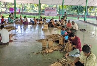 Sustainable Livelihood