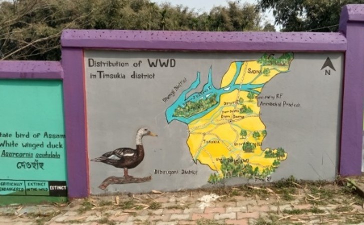 Sustainable Environment