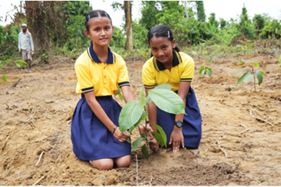 Sustainable Environment
