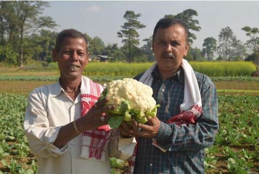 Sustainable Livelihood