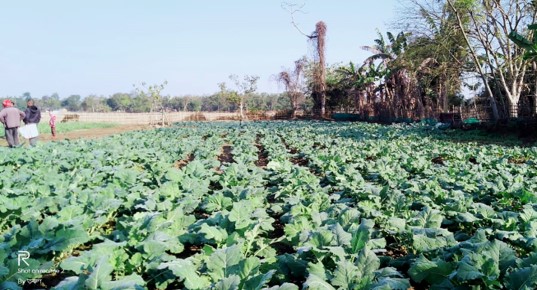 Sustainable Livelihood