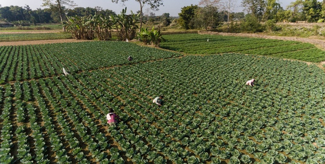 Sustainable Livelihood
