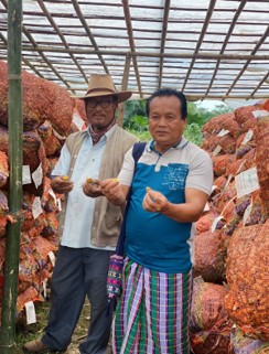 Sustainable Livelihood