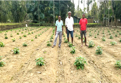 Sustainable Livelihood
