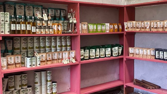 Sustainable Livelihood