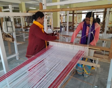 Sustainable Livelihood