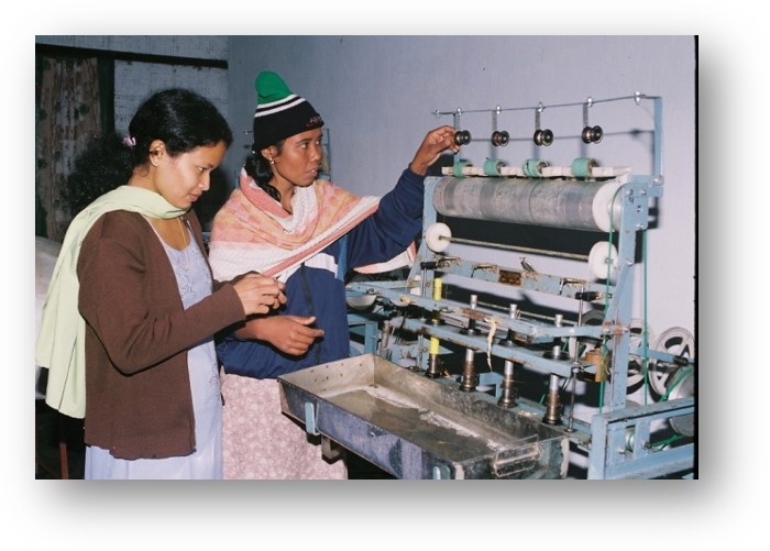 Sustainable Livelihood