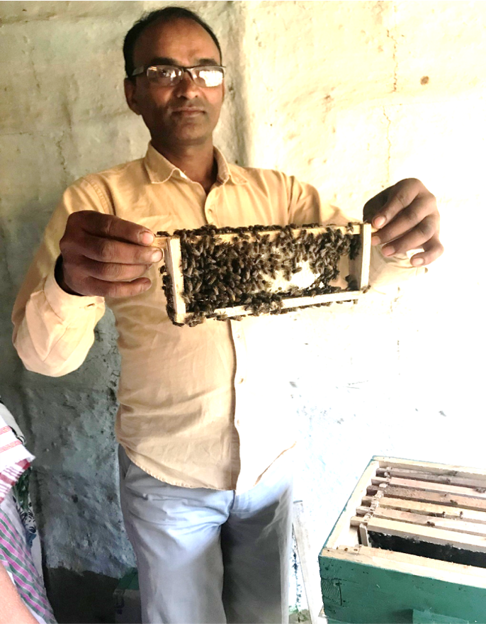 Sustainable Livelihood