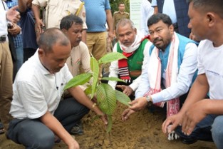 Sustainable Environment