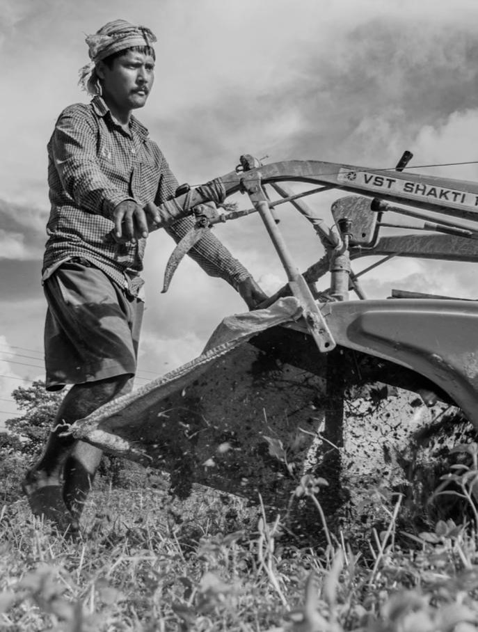 Sustainable Livelihood