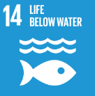 Sustainable Environment