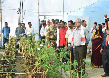 Sustainable Livelihood