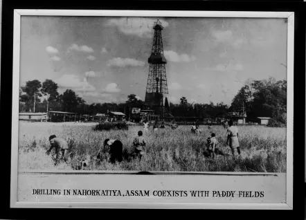 OIL in the annals of History