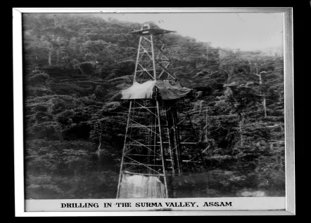 OIL in the annals of History