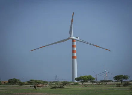 Rajasthan Fields